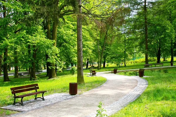 depositphotos 4582193 stock photo beautiful spring park